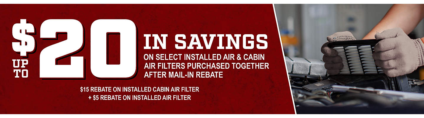 Air and Cabin Air Filter Savings